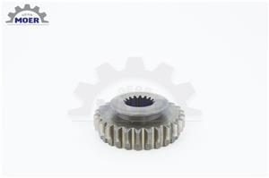 Spur Gear